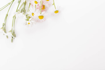 Floral pattern with colorful daisy wildflowers, green leaves, herbs on white background. Flat lay, top view