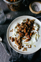 Homemade Granola and Yogurt on Plate