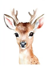 Watercolor cute deer with big eyes. Vector Illustration of woodland animal. Nursery Art. Wall art. Isolated on white background. Generative AI