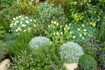 Green shrubs and flowers