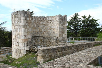 Fototapeta na wymiar Castillo de Burgos 