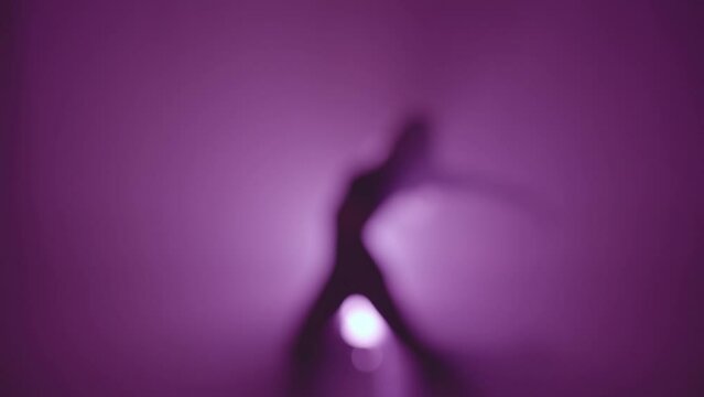 Background video of a woman's sexy dance in defocus. Club atmosphere of the party. Beautiful choreography and performances. High quality 4k footage