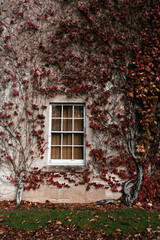 Fototapeta na wymiar English Home in Autumn