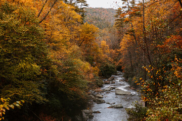 Mountain River in Autumn