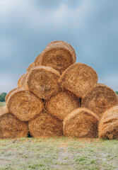 Rolls of hay bales in the field. Many large rolls stacked one on one. Hay storage for the winter