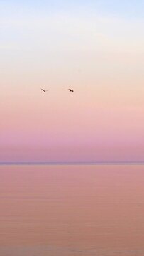 Vertical video of a beautiful sky and two birds fly over sea