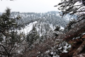 Winter forest in the mountains where beautiful scenes of snowy nature bring up emotions of gratitude and peace