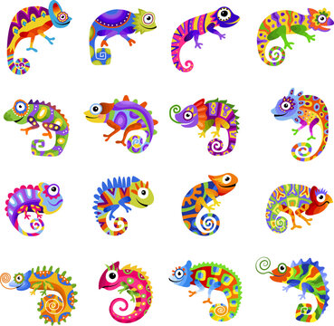 Colorful chameleons. Exotic wild animals recent vector stylized pictures of lizards