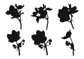 Vector real trendy modern silhouettes violet, viola. Freehand drawing plants, herbs.