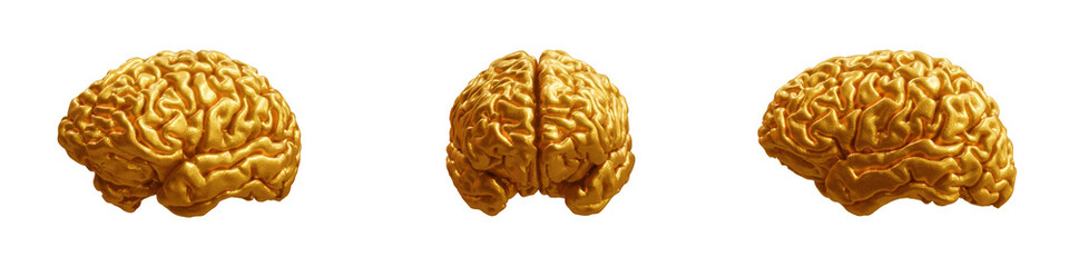 Golden human brain from multiple angles isolated on transparent background. 3D rendering