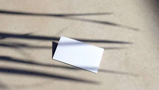 Template white paper with green plant shadow on beige background , great design template. 