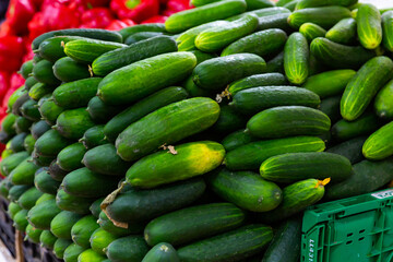 Close up of fresh green cucumber collection outdoor on market counter
