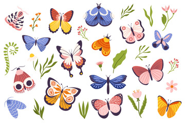 Set Of Colorful Butterflies and Moths, Each Unique In Size, Shape, And Color, Representing The Beauty And Diversity © Anna Syvak
