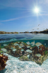 Fototapety na wymiar - Fototapeta24.pl