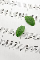 Herb leaves on sheet music.