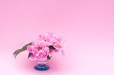 Pink peonies. Beautiful spring flowers in glass vase.