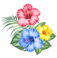 Watercolor hibiscus. Tropical floral illustration