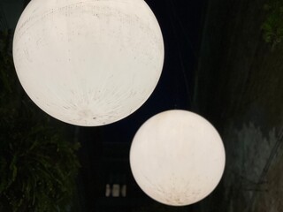 Light Globes 