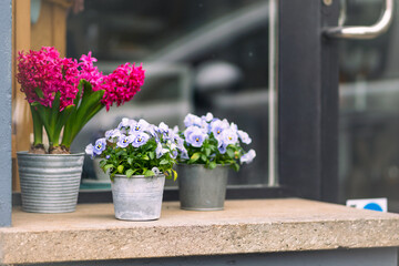 Fototapeta na wymiar Plants on balcony