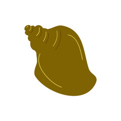 Elements of botany underwater marine plants, flora. Shells. Design of a summer banner, poster. Isolated vector flat illustration.