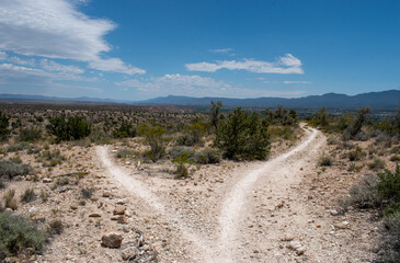 Diverging Desert Hiking Paths with a Split Cloudy and Clear Blue Sky