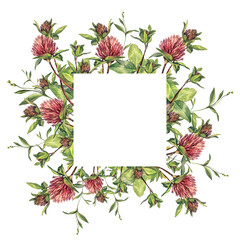 Frame with watercolor wild flowers. Clover isolated on white background. Wedding invite. Summer or spring banner template for poster or card. Hand-drawn art with copy space for decor textile or book