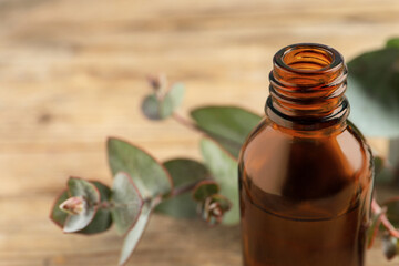 Bottle of eucalyptus essential oil and leaves on wooden table, closeup. Space for text