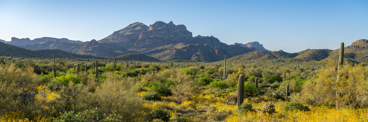 Superstition Mountains in Central Arizona, America, USA.