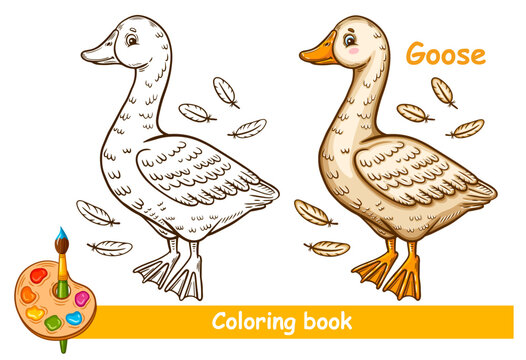 Cute goose duck farm water bird children coloring book page. Baby swan, drake poultry. Agriculture animal cartoon character with feather. Kid education game. Outline colouring worksheet vector drawing