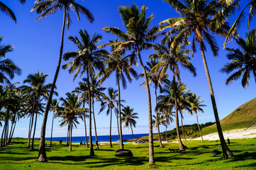 Fototapeta premium Anakena Beach in Easter Island / Rapa Nui