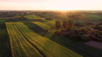 Zachwycające ujęcia dronem polskiej wsi: rzepak, młode zboża i malownicze pola o wschodzie słońca