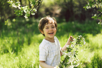 Happy little boy walking in spring garden. Child playing with branch of an cherry tree and having...