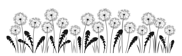Dandelion ink silhouette illustration. Abstract flowers dandelions engraving black plants. Botany floral drawing design template, advertising background, poster card, cover, invitation flyer vector