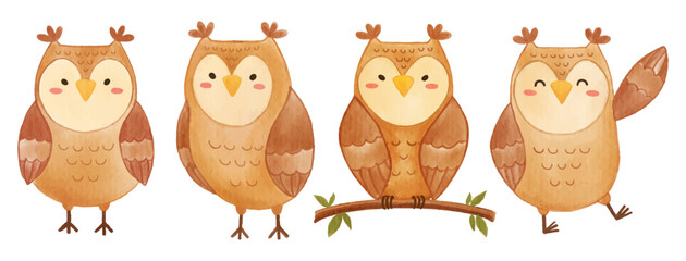 Owl bird . Watercolor painting design . Set of cute animal cartoon character . Vector .