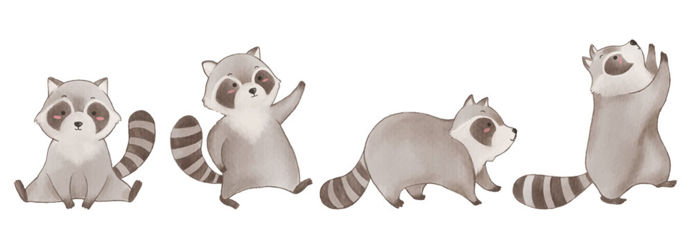Raccoon . Watercolor painting design . Set of cute animal cartoon character . Vector .