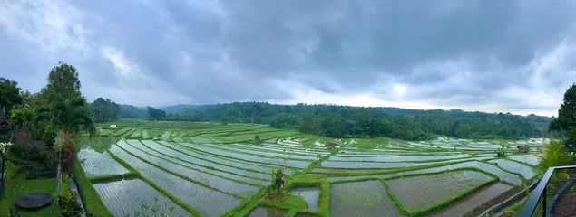 Foto op Plexiglas Balinese rice fields terracing © Yudistika