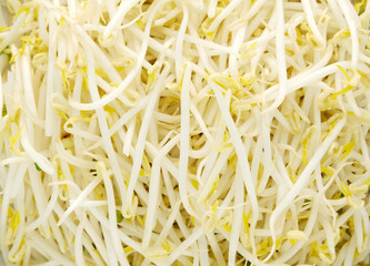 Fresh bean sprouts