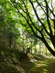 Obraz premium 東山公園散策