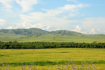 Obraz premium A wide clearing with tall grass at the edge of the forest and a ridge of high hills under a cloudy summer sky.