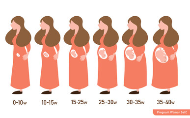 シンプルで可愛い週数別妊婦さんの身体の変化のイラストセット_顔なし目なし