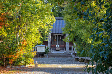 Nakatsu, Japan - Nov 26 2022: Nakatsu Daijingu Grand Shrine and shrines complex at Nakatsu Castle park, founded after Meiji Restoration, dedicated to Amaterasu and Omikami, a goddess of the sun.
