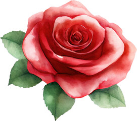 Rose Watercolor Illustration. Generative AI