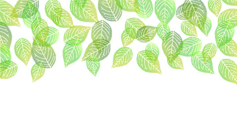 新緑　葉　木　背景