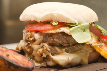 hamburger with fries