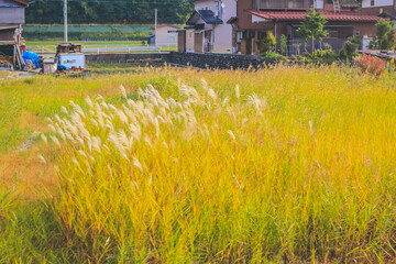 the fall season landscape of the Toyama countryside, Japan 31 Oct 2013