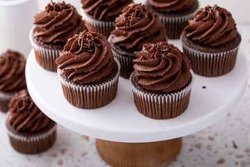 Chocolate cupcakes with dark chocolate frosting and sprinkles