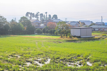 the fall season landscape of the Toyama countryside, Japan 31 Oct 2013