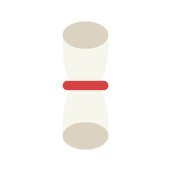 diploma flat icon