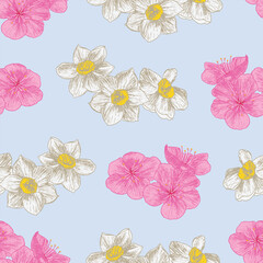 Plum Blossom Narcissus flowers. Seamless pattern sketch hand drawn vector illustration
