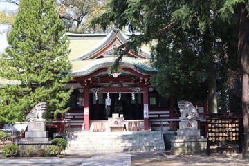 Obraz premium 東京 金町 葛西神社の正殿と狛犬